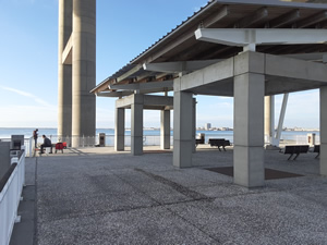 fishing pier under bridge charleston county sc